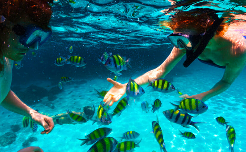 Discover Pangkor Island